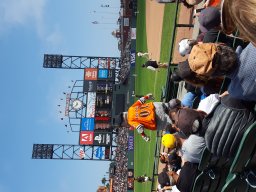 2017 SF Giants Game